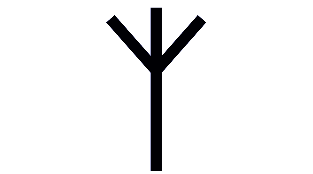 Algiz Rune a pagan symbol appropriated by Nazis