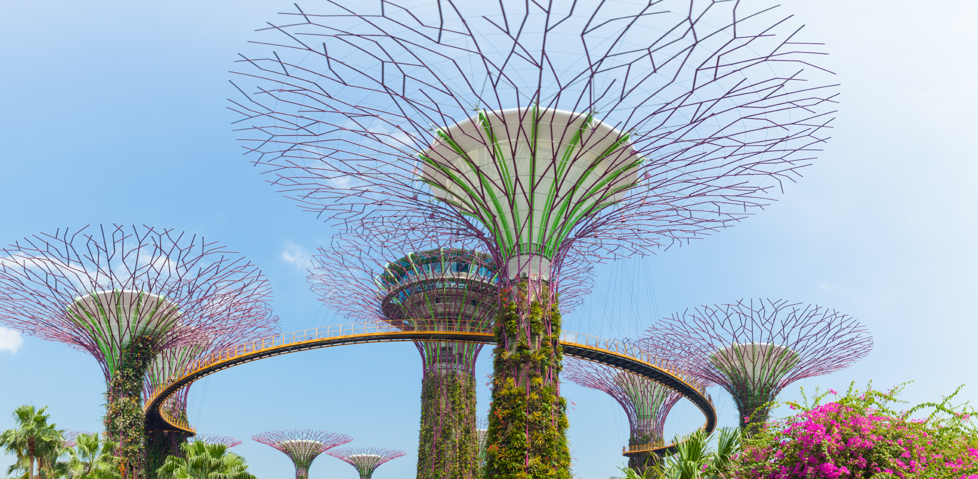 Singapore landscape - TSPA APAC Summit